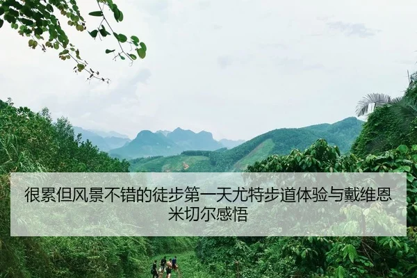 很累但风景不错的徒步第一天尤特步道体验与戴维恩米切尔感悟